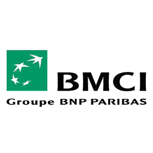 Partner Logo